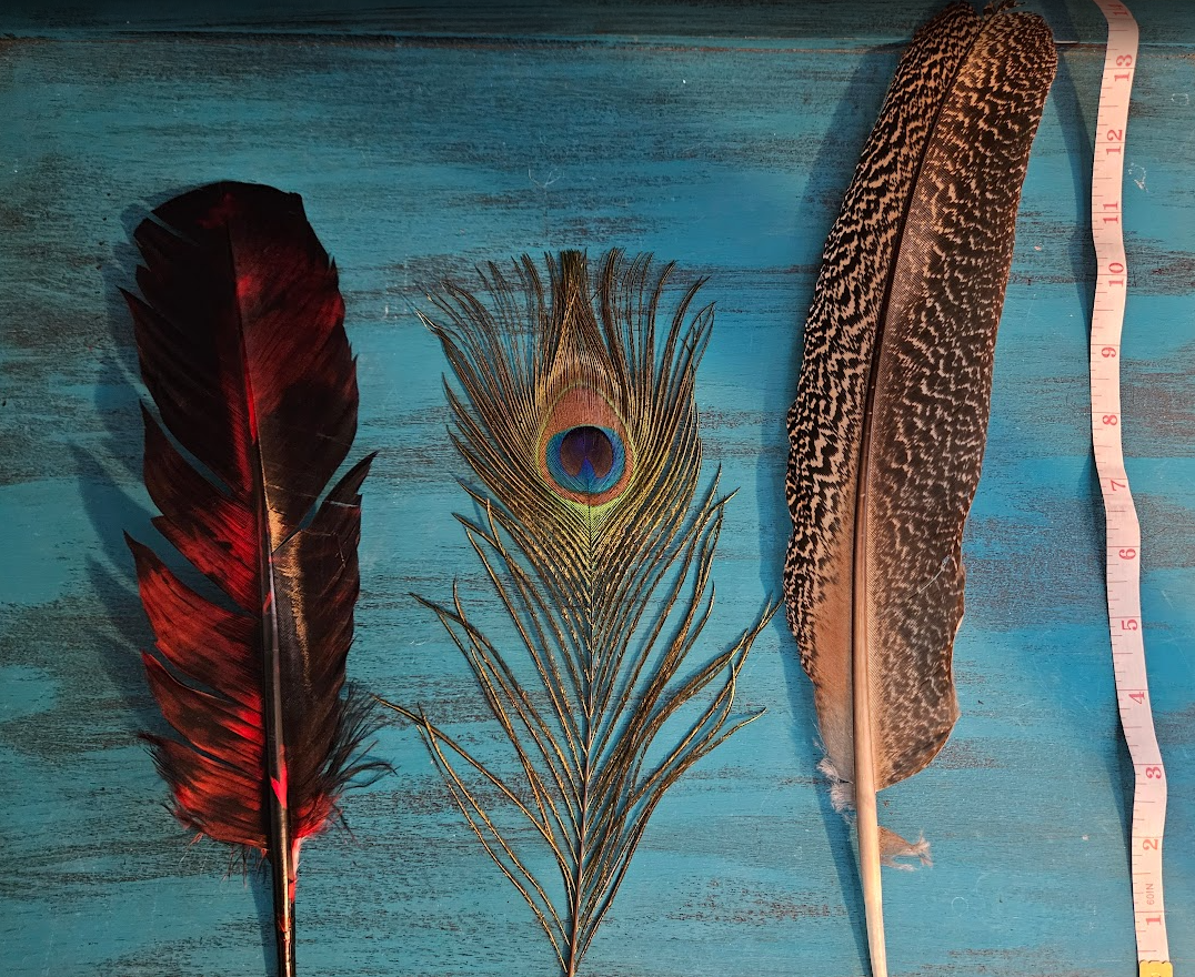 Feathers - Large