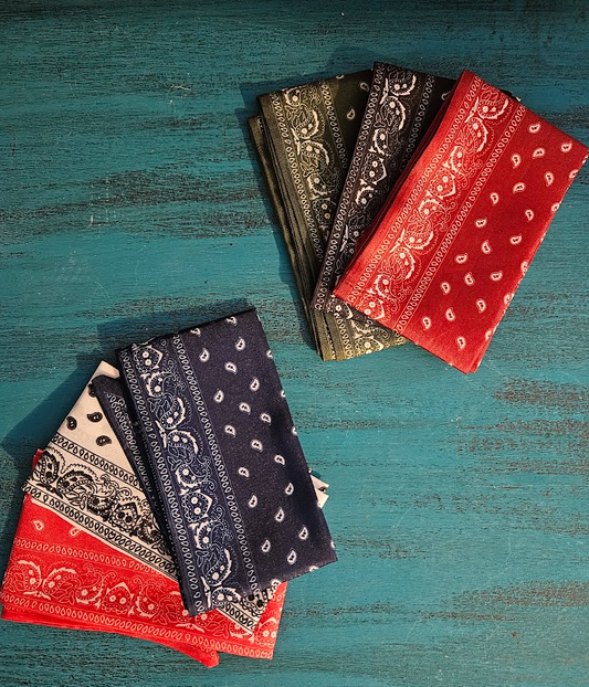 Paisly Hat Bands